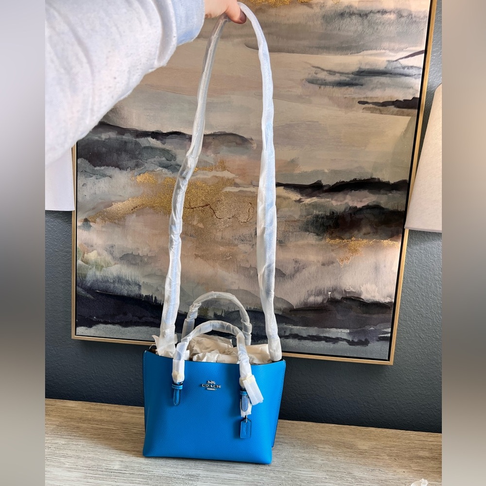 🆕 Coach Mollie Tote 25 Textured Leather Bag in Pacific Blue - Picture 11 of 11